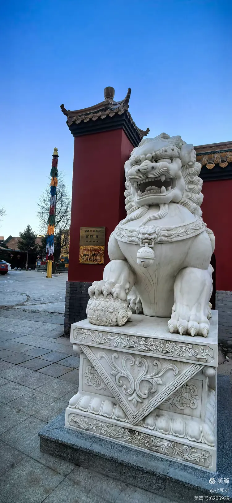 沈阳皇寺游